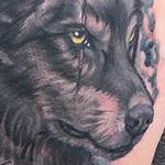 Wolf and Feathers Coverup Tattoo Design Thumbnail